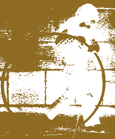 girl with a hulahoop