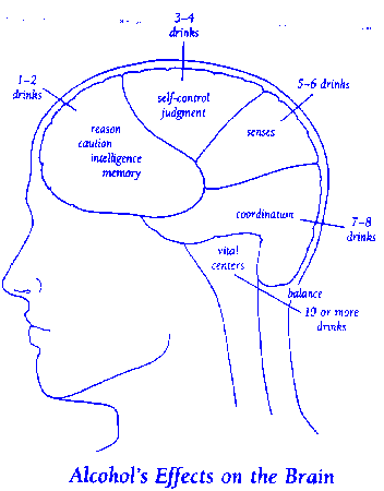 [IMAGE:  Drawing of skull showing the effects of alcohol on the 
brain]