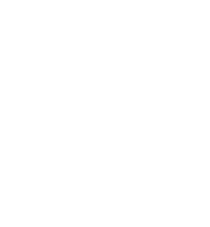 human head, cross section
