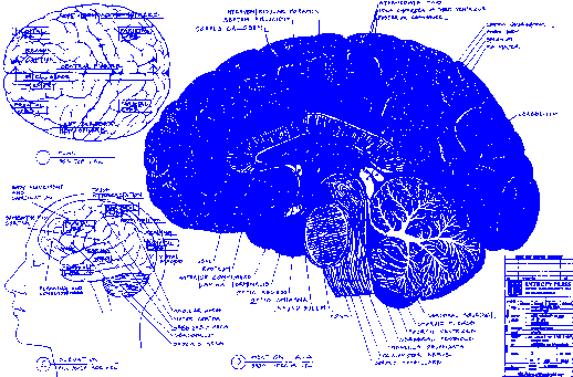 Entropy Press Mental Episode